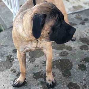 Meet your Posher, Shelly